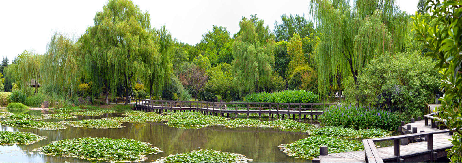 url(http://www.qwrvn.cn/theme/TP000163/pic/banner4.jpg)